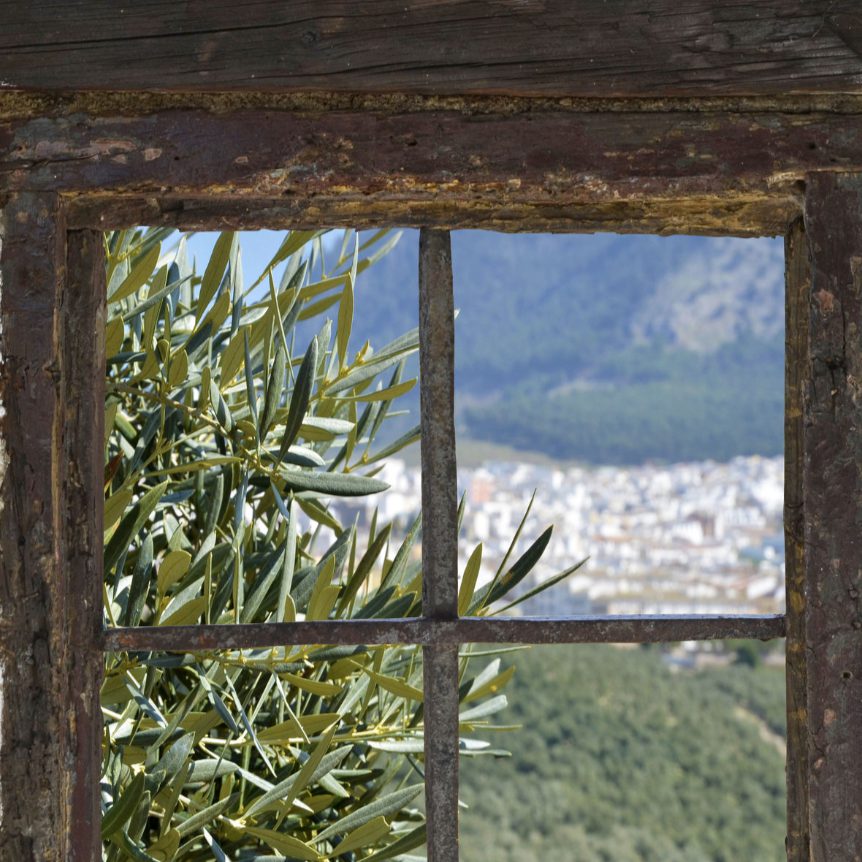 Vista desde una ventana del Olivar Arboolivo